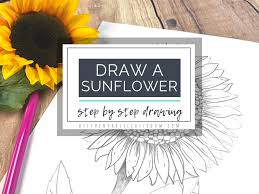 six easy steps to draw a sunflower