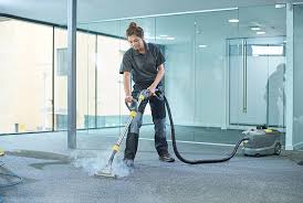 hire a professional steam cleaner