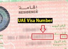 In the emirates countries, it is very important to check your emirates id status time to time because this id is connected with your financial and other governmental activities. How To Find Uae Visa Number And Uid Number Uae Labours