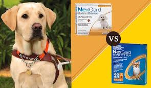 How long does it take nexgard works by overstimulating the flea's nervous system. Difference Between Nexgard Vs Nexgard Spectra Canadapetcare Blog