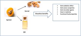 apricot seed and oil as functional food