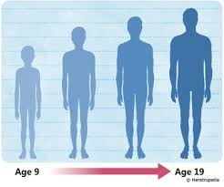 Illustration Of Growth In Height During Puberty In Boys From