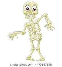 There are five types of skeletons and bones in human. Five Fun Facts For Kids About The Human Body Pan Am Clinic