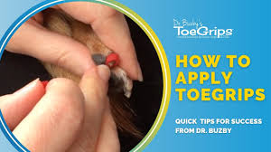 how to apply toegrips dog nail grips