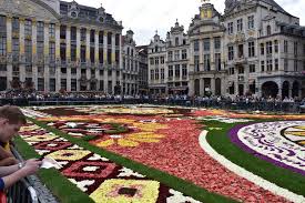 viewing the flower carpet in brussels