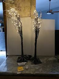 brown birch lighted trees w