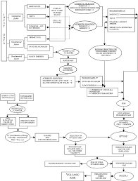 Flow Chart Reporting Step By Step The Procedure Used To