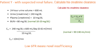 Cpr Lecture 49 Renal Clearance