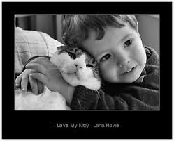 &quot;I Love My Kitty&quot; by Lana Howe | Redbubble - 4303184-1-i-love-my-kitty
