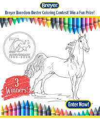 Without further ado, the following are our 2016 coloring contest winners, first the top three submissions for each age group, and finally the grand prize winner, and the two entries that. Ashba On Twitter Look What Breed Breyerhorses Chose For Their Breyer Boredom Buster Coloring Contest Our American Saddlebred Follow The Link Below To Learn About This Contest And This Model Of The