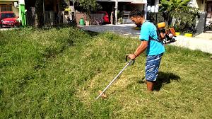 Mesin potong rumput atau mesin pemotong rumput merupakan salah satu alat yang penting kamu miliki terutama jika memiliki halaman atau taman di rumah. Potong Rumput Anak Rantau Malaysia By Pardi Pardi