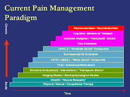 NURSING MANAGEMENT OF POSTOPERATIVE PAIN IN CHILDREN AFTER CARDIAC     scielo br However  in the     