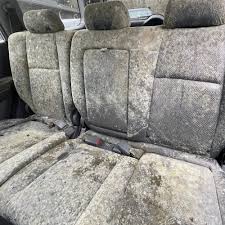 car mold removal service near boston