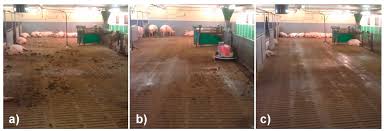 Sie haben dave, einen bewohner der übergangseinrichtung, der auch in. Animals Free Full Text Feasibility Study Improving Floor Cleanliness By Using A Robot Scraper In Group Housed Pregnant Sows And Their Reactions On The New Device Html