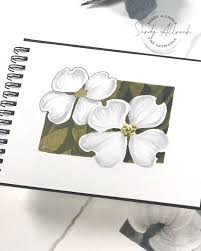 how to draw realistic white dogwood