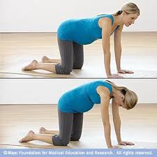 Image result for On hand and knees, Donegan raises and low the upper back