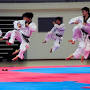 international taekwondo federation belts from googleweblight.com