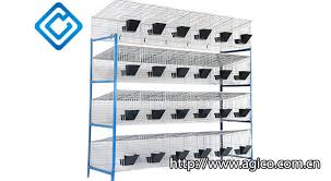 Commercial Rabbit Cages 24 Doors Iso