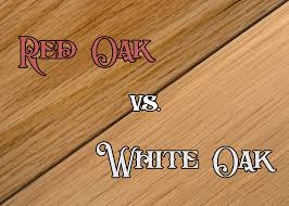 distinguishing red oak and white oak