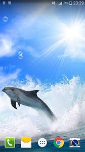 android dolphin by live wallpaper hd