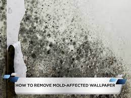 How To Remove Mold Affected Wallpaper