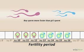 One of the best tools when it comes to determining your baby's gender is the ovulation calculator. Positions To Conceive A Boy Pregnant With A Girl Baby Boy Tips Conceiving A Girl