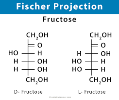 Fischer projections tutorial video for organic and biochemistry. Fischer Projection Definition Illustration And Examples