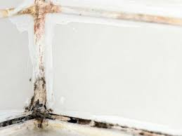 how to remove black mold