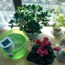 Auto Water Timer Portable Garden Plant