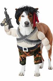 california costume action hero dog army