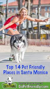 Monica becomes irritated when everyone likes her new boyfriend more than she does. Top 14 Pet Friendly Places In Santa Monica