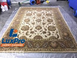 carpet cleaning rug cleaning in niota