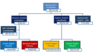Ncs Organizational Structure And Roles Defined Amrron