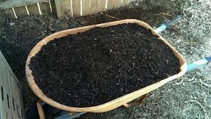 wheelbarrow full of homemade compost