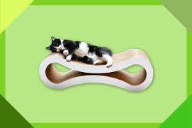 70 best gifts for cat 2023 the