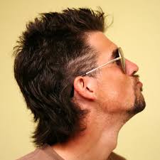 There are multiple variants of the. 30 Cool Mullet Hairstyles Modern Short Long Mullet Haircuts 2021