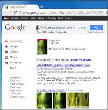  Search By Image For Google Reverse Searches Online Images In Chrome