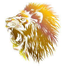 lion head png transpa images free