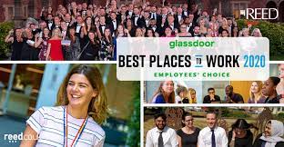 Best Places To Work 2020 Reed Named A
