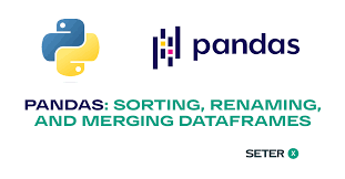 sorting renaming and merging dataframes