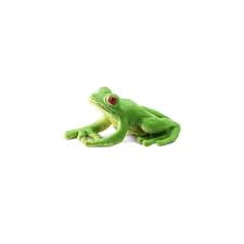 We have frog games, frog puzzles, rubber frogs, squeaky frogs, squishy frogs, hopping frogs, stuffed frogs and beanie frogs, frog music cd's, golf frogs, and much more. Frogs Good Luck Minis Montessori Toys Safari Ltd