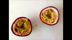Le fruit de la passion est un fruit savoureux originaire du brésil. Fruit De La Passion Je Mange Un Fruit De La Passion Youtube