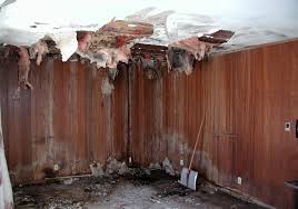 basement repair why should i fix my