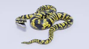 rigged zebra jungle carpet python 3d