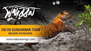 sundarban package tour from kolkata