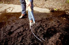 no till gardening keeps soil healthy