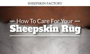 how to care for your sheepskin rug