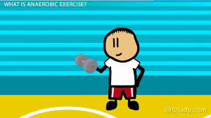 anaerobic exercise definition exles