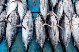 Not sure which are the best tuna fish in the market? Barbados Bets On Tuna To Boost The Value Of Fish Exports Unctad