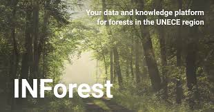 نتیجه جستجوی لغت [forests] در گوگل